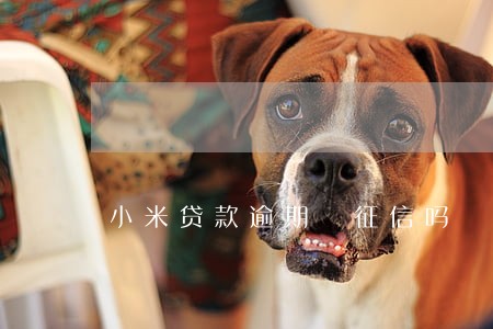 小米贷款逾期 征信吗 小米贷款逾期 征信吗